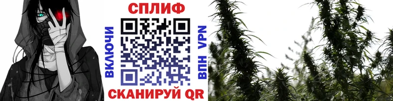 Бошки марихуана Ganja Электроугли